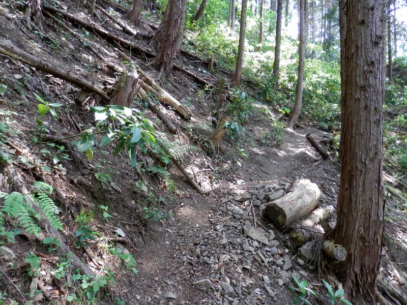 滑りやすい道が続く