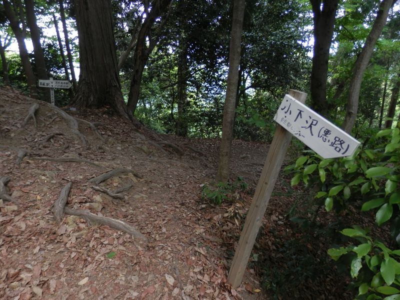 北高尾の縦走路と出合う