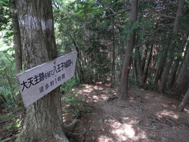 ここから八王子城山に向かう