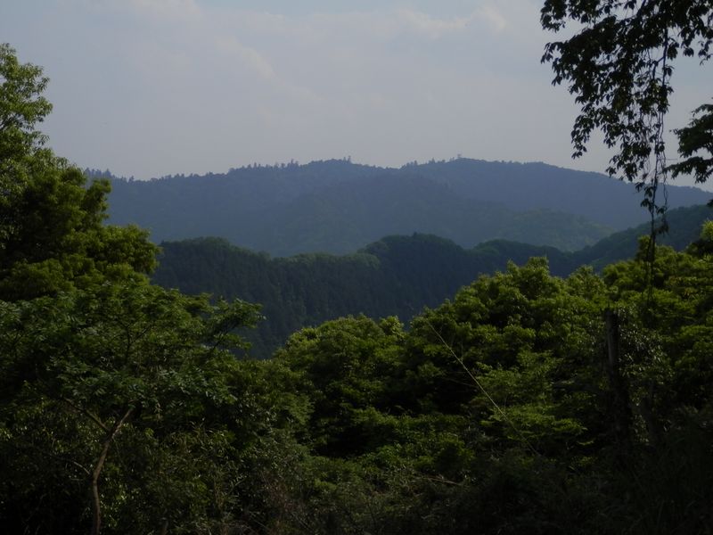 松木曲輪より、高尾山を望む