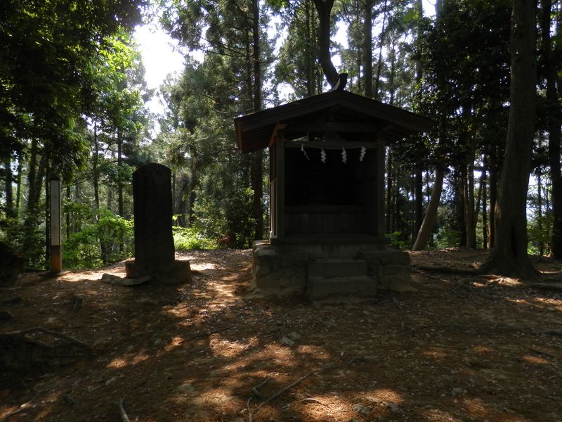 八王子城本丸跡