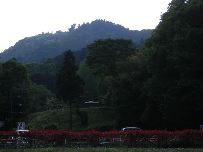 八王子城山を望む