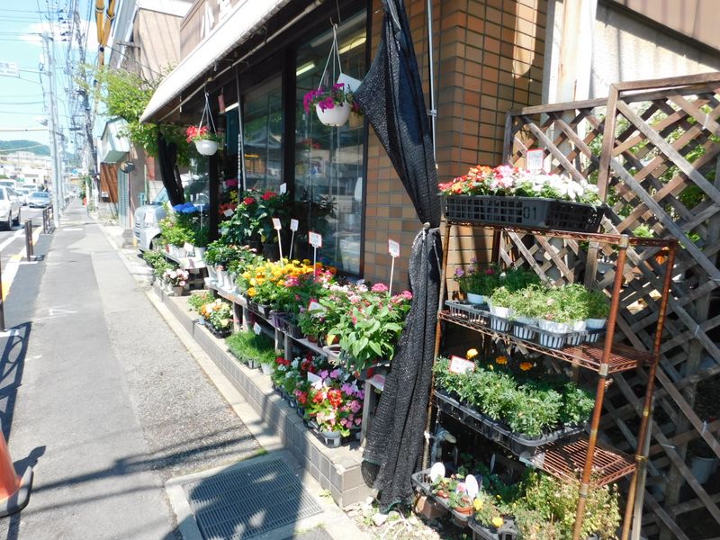 いつも通る花屋さんの前で