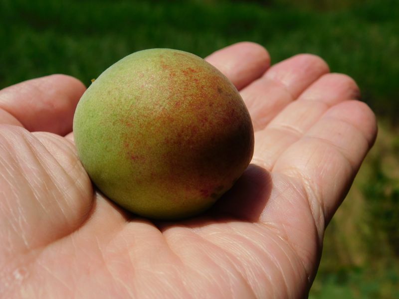 ニュートン力学