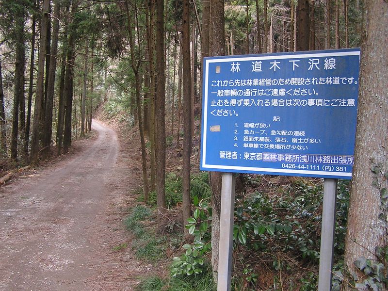 裏高尾 -- これより、林道木下沢線