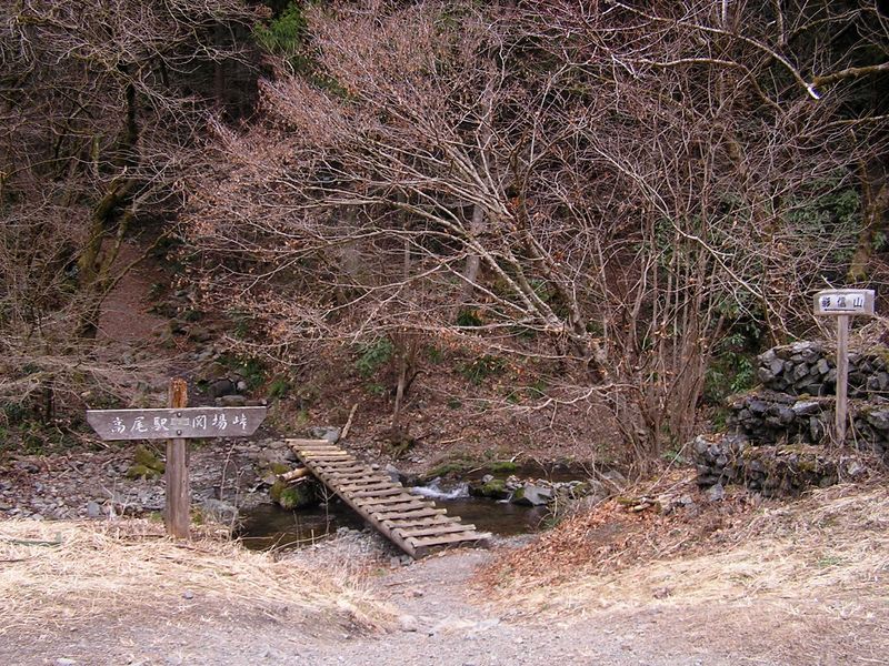 裏高尾 -- 景信山への分岐