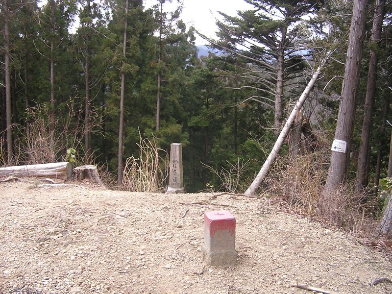 裏高尾 -- 杉沢の頭には、三等三角点がある