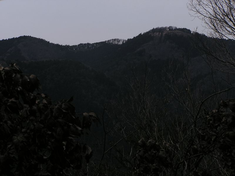 裏高尾 -- 富士見台から景信山を望む