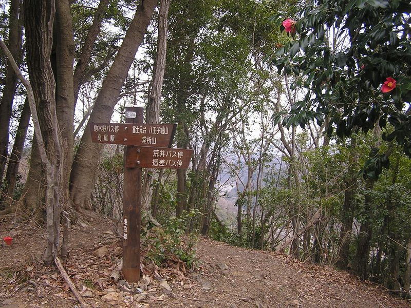 裏高尾 -- 荒井への分岐