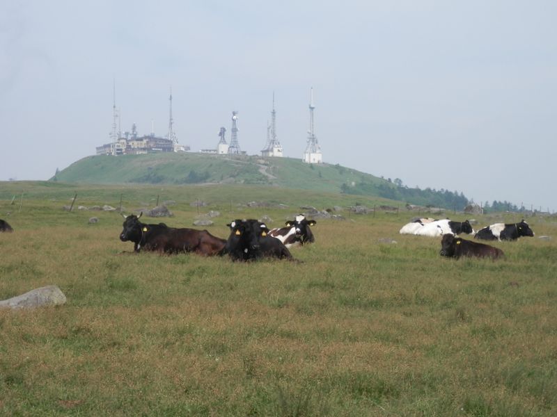 美ヶ原山頂に立つ電波塔