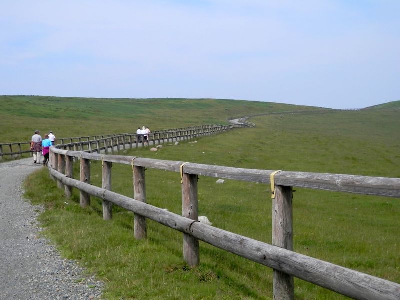 美ヶ原頂上を目指しテクテクと