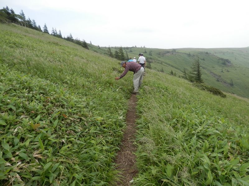 美ヶ原 -- 王ヶ頭より、百曲園地に向かうコース
