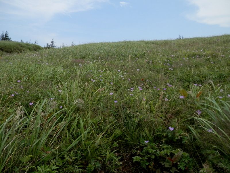美ヶ原 -- 青空が広がってきた