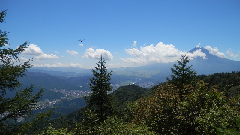 三ツ峠山より、富士山を望む