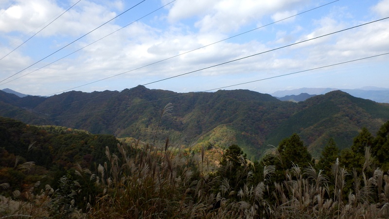 阿夫利山、井戸沢ノ頭、金剛山