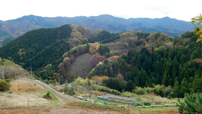 菅井より望む、焼山～黍殻山～袖平山の稜線