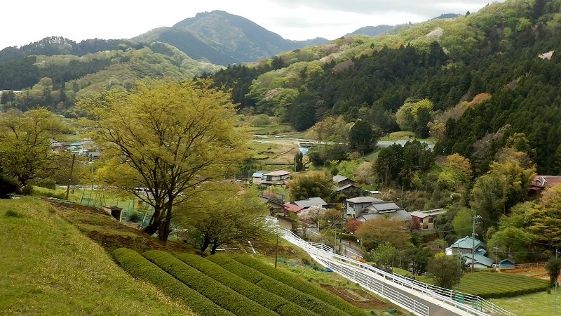 みやがせ道より望む坂尻
