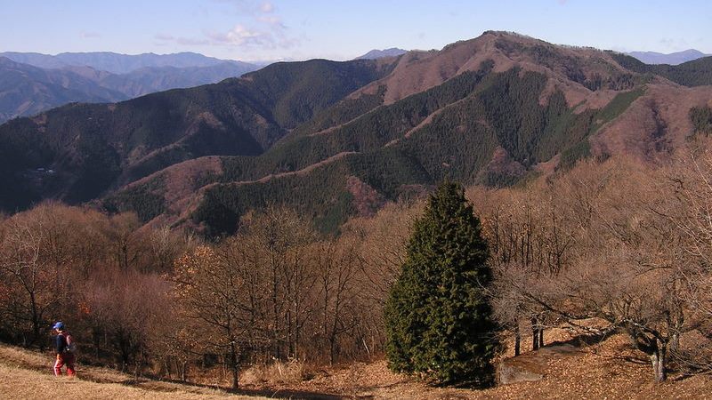 陣馬山頂より、連行峰を望む