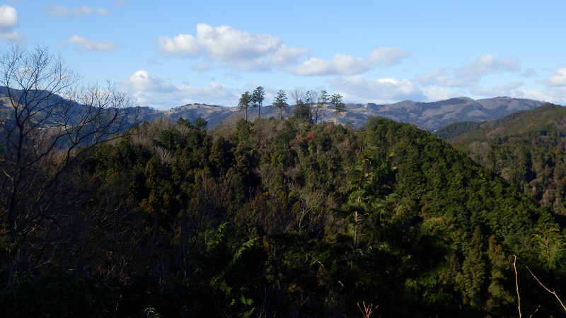 石尊山より望む、官ノ倉山と外秩父の山々