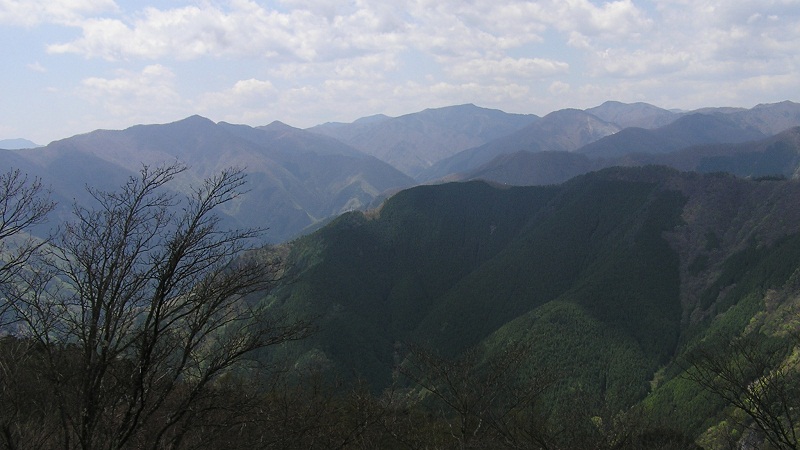 川苔山から望む雲取山