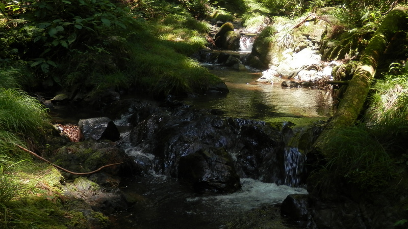 小下沢から堂所山