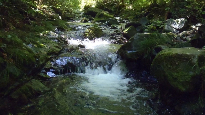 小下沢じゃぶじゃぶ