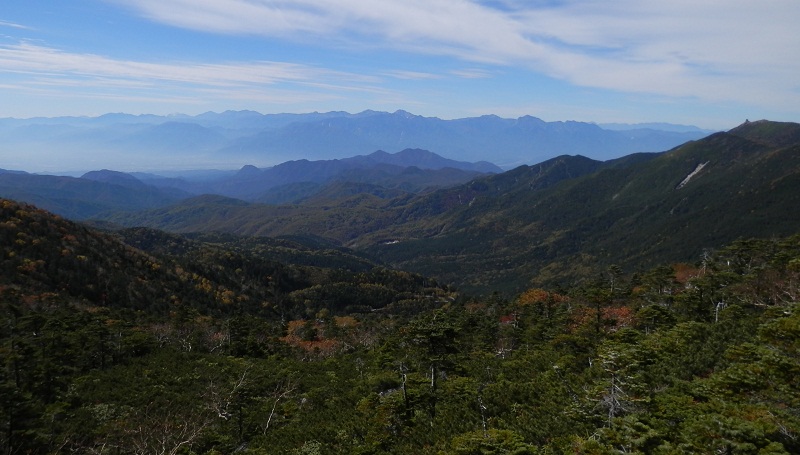 夢の庭園のパノラマ