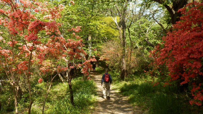 小松ハイキングコース
