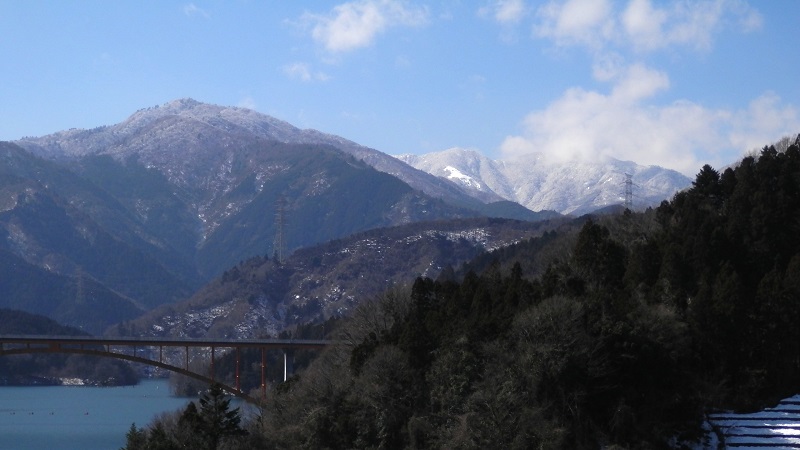 丹沢を駆け上る白馬