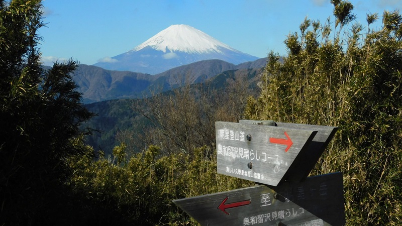 奥和留沢見晴らしコース分岐