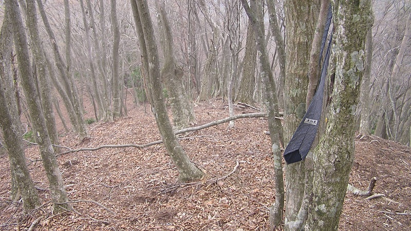 ネクタイの結ばれた尾根を下る