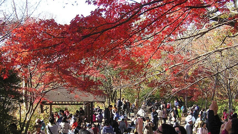 高尾山は人が多すぎて座る場所がないほど