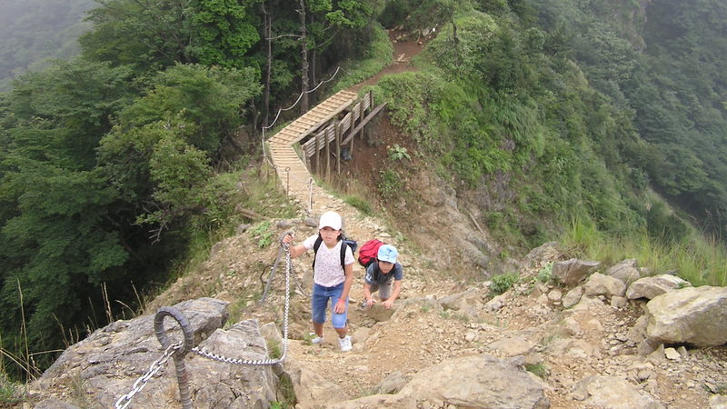 丹沢、行者岳から政次郎の頭に至る途中のやせ尾根