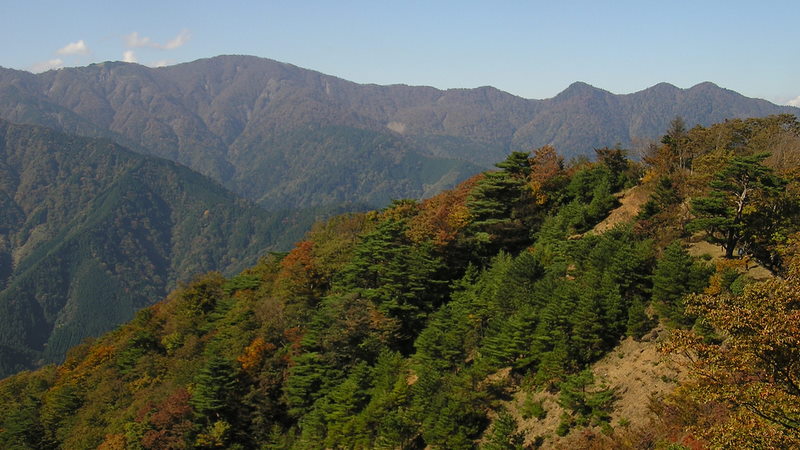 大山北尾根より、丹沢山と丹沢三峰を望む