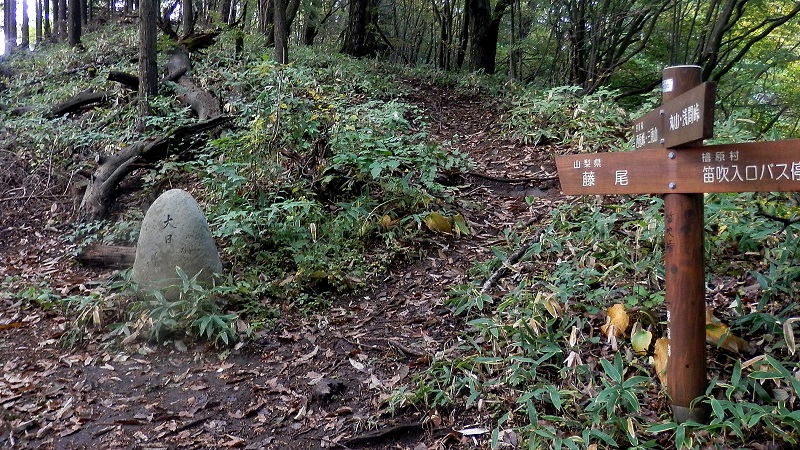 笹尾根の笛吹峠