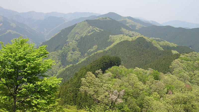 岩茸石山から棒ノ折山を望む