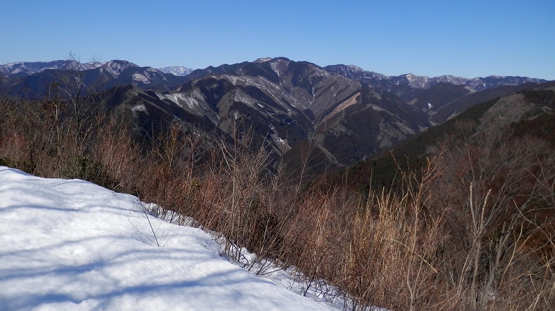 岩茸石山から川苔山を望む