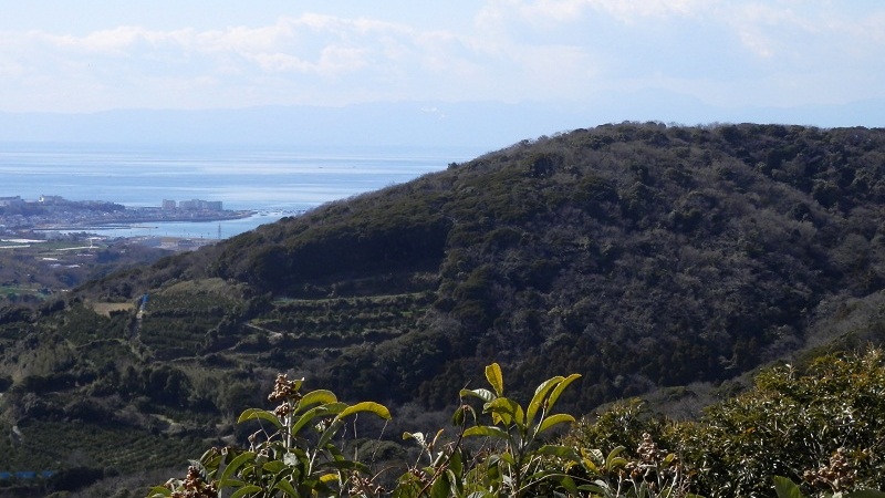 三浦富士から望む武山と相模湾