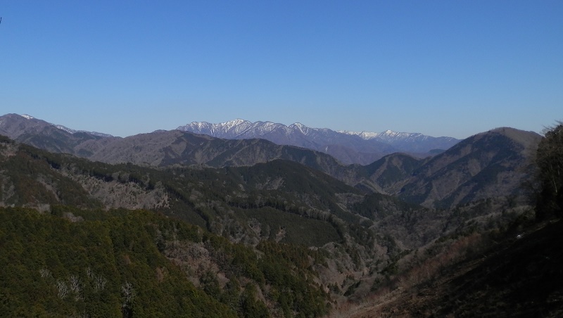 椿丸より望む丹沢主稜と主脈