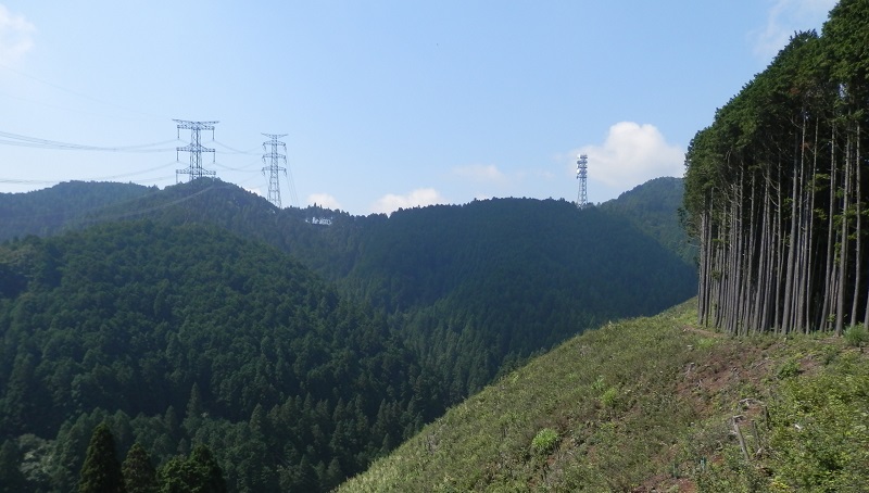 築瀬尾根の伐採地