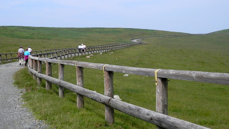 広々とした美ヶ原