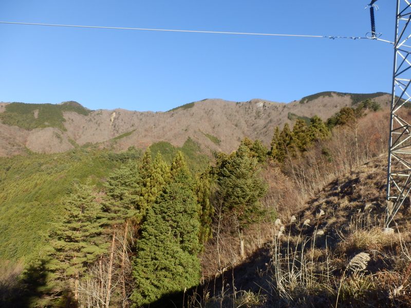 ワラビタタキとウバガ岩