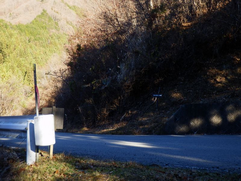 林道を横断する