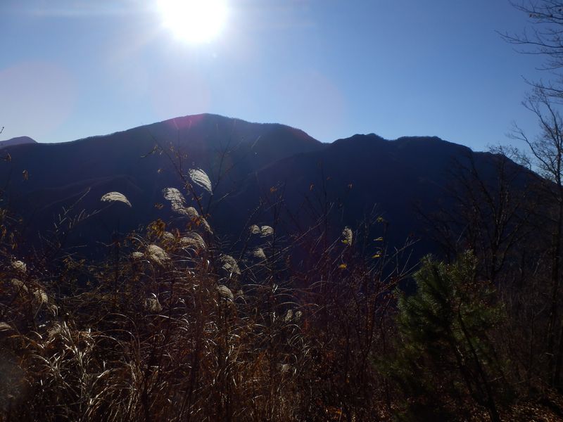 逆光の大室山と加入道山