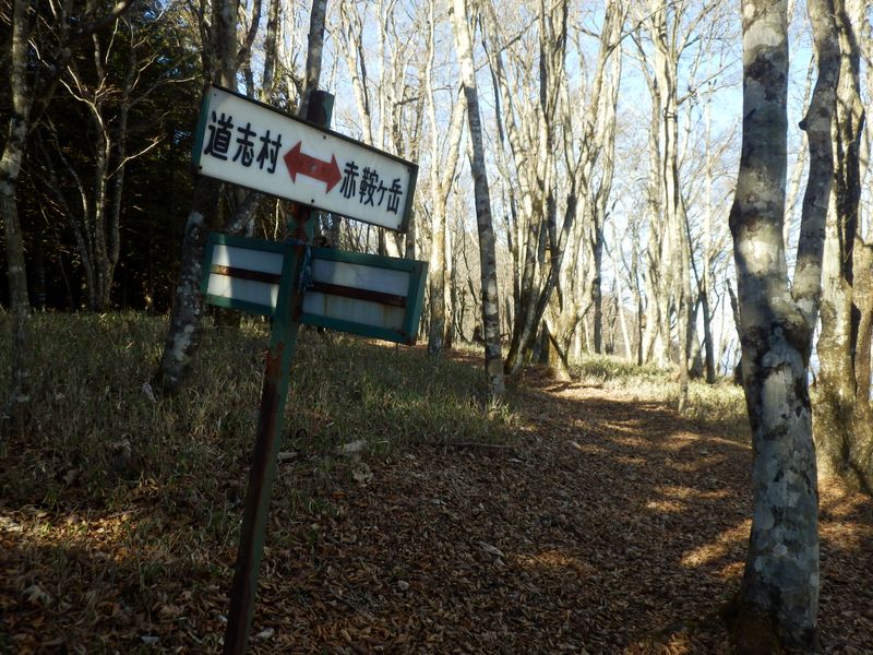 ここで縦走路と出合う