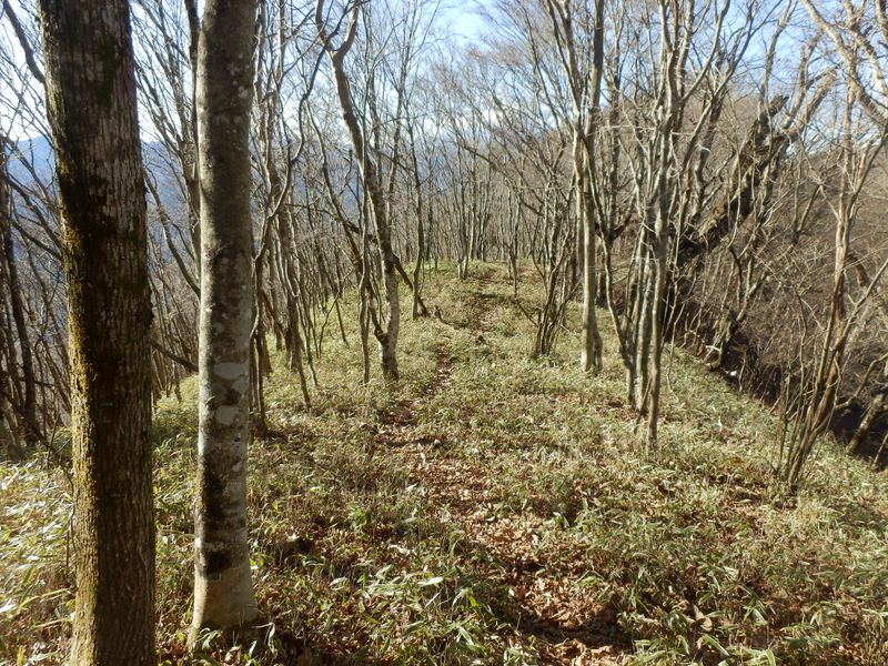 わくわく、ウバガ岩への道