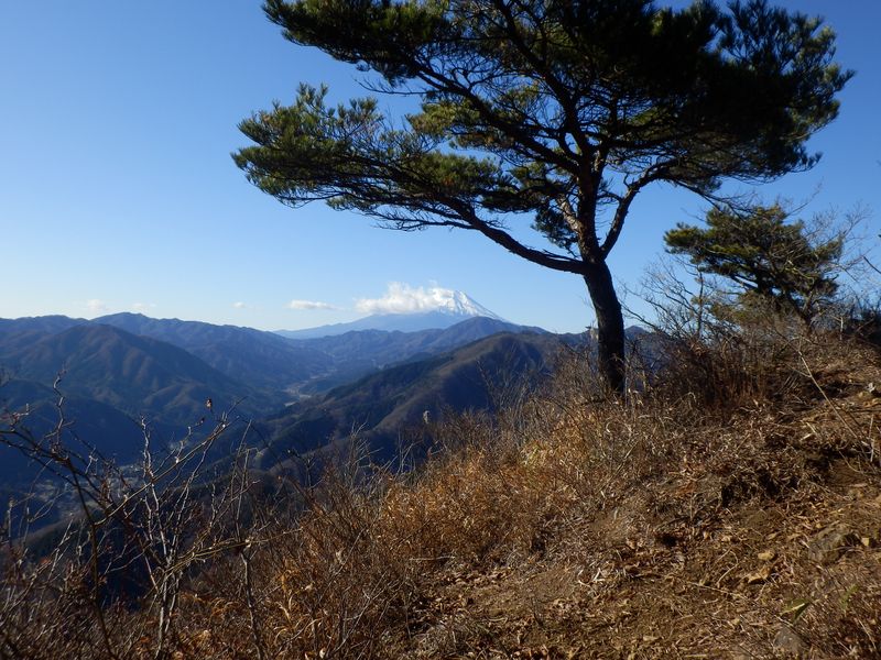 ワラビタタキ -- ウバガ岩に到着