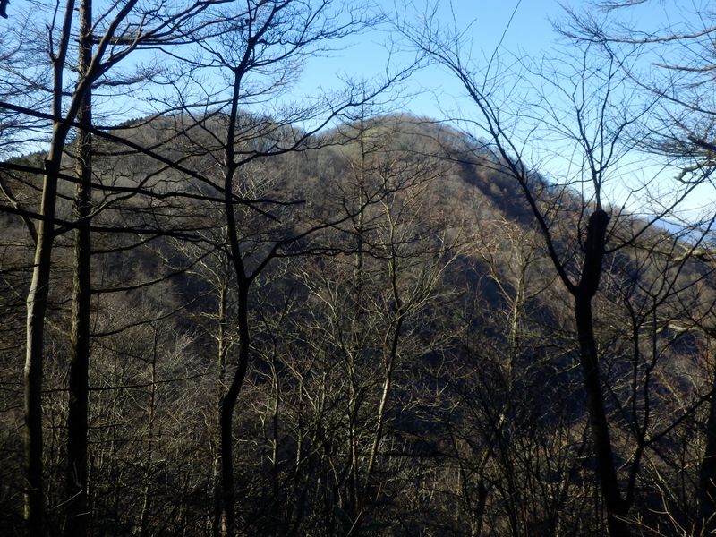 ワラビタタキ（右奥）を振り返る