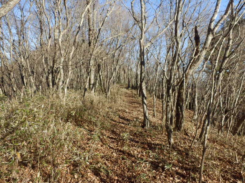 こんな道も、まもなく終了