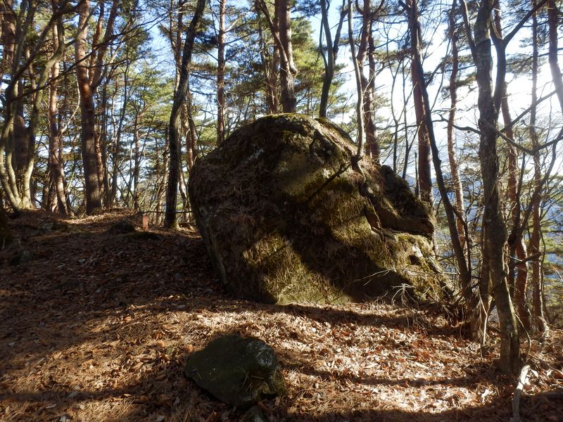 ゴトウ石よりずっと大きいぞ